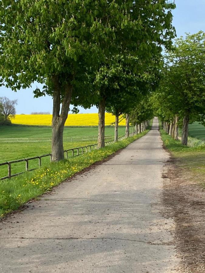 Schmuckstueck In Ostseenaehe Surendorf Екстер'єр фото
